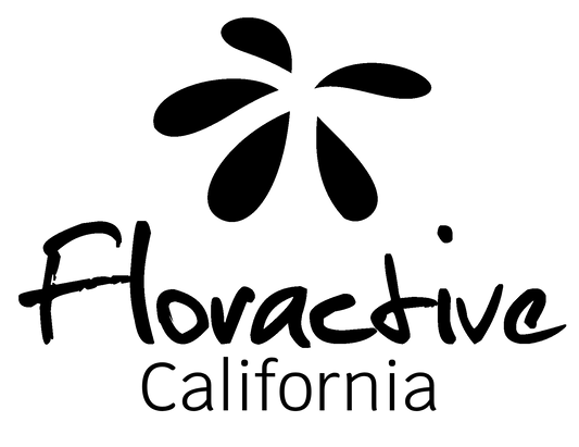 FLORACTIVE Blend Active Hair Tonic 240 ml